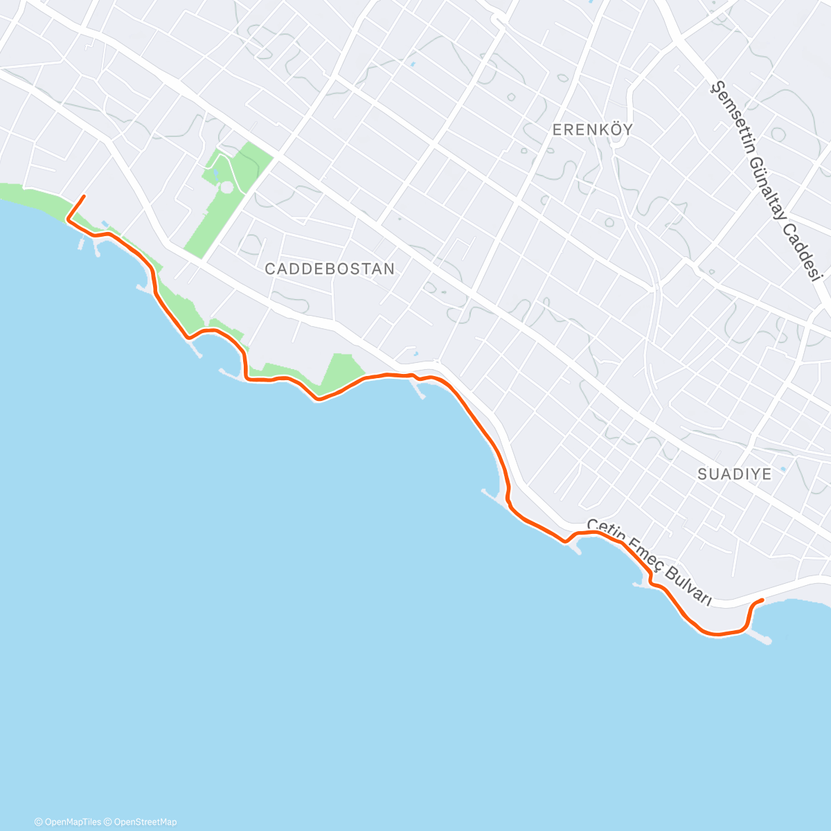 Карта физической активности (Easy Run)