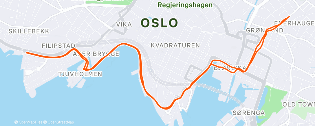 Map of the activity, Morning Run