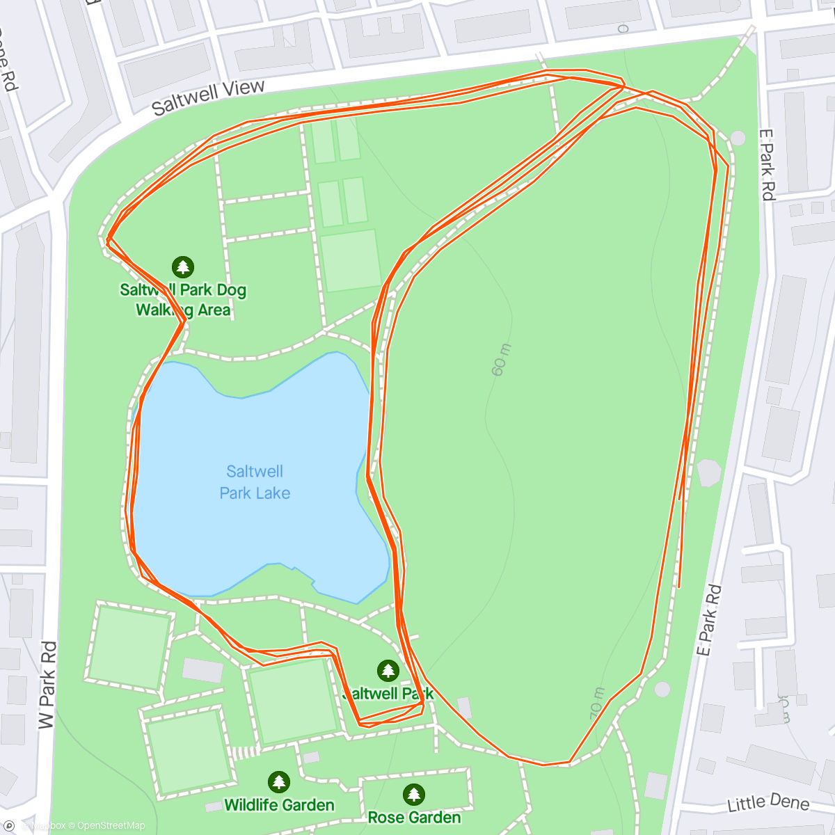 Map of the activity, Gateshead Parkrun