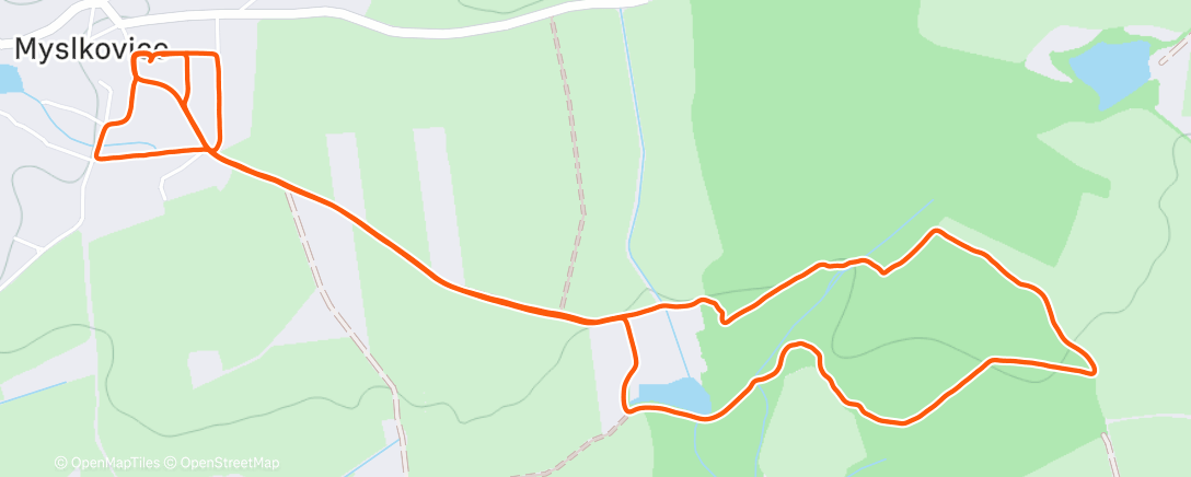 Карта физической активности (Afternoon Walk)