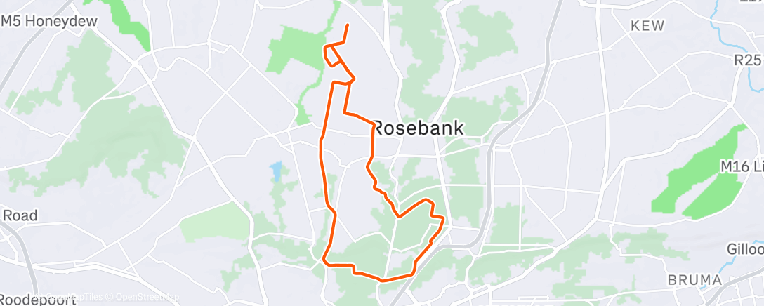 Mapa de la actividad (Morning Run)