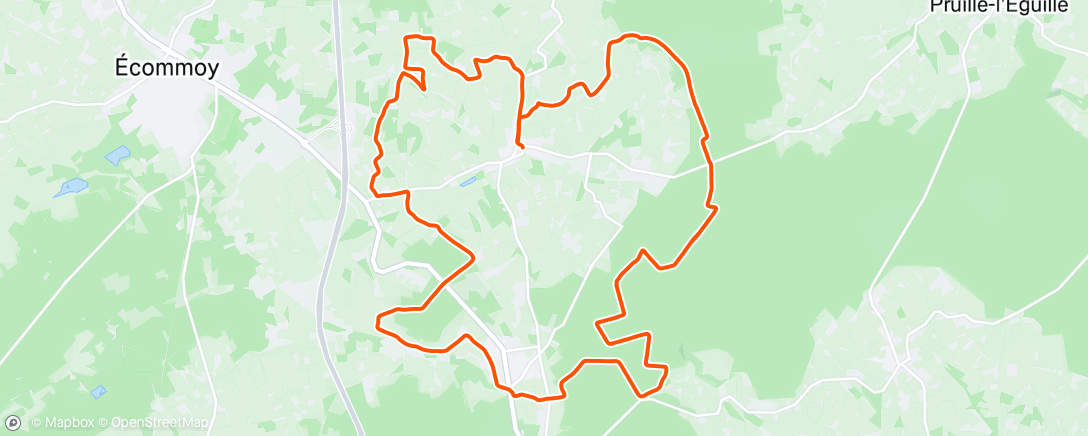 Map of the activity, Forêt de bercé 🍂