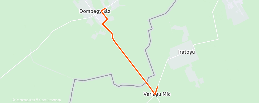 Карта физической активности (Morning Run)