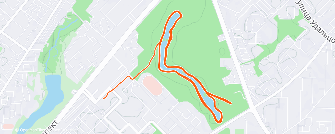 Карта физической активности (Morning Run)