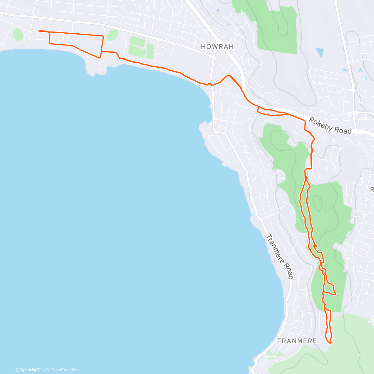 Map of the activity, Morning Ride