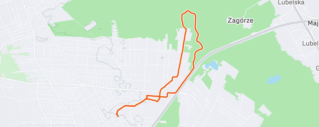 Карта физической активности (Afternoon Walk)