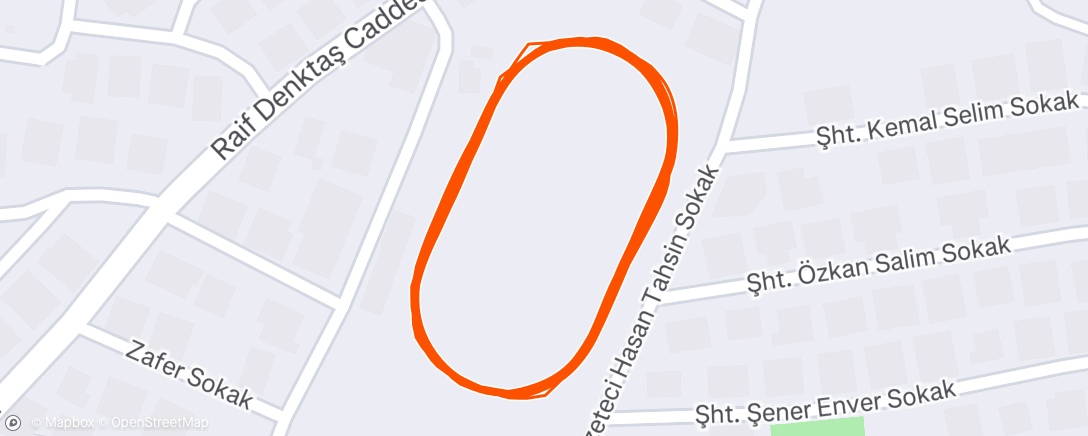 Map of the activity, Morning Run