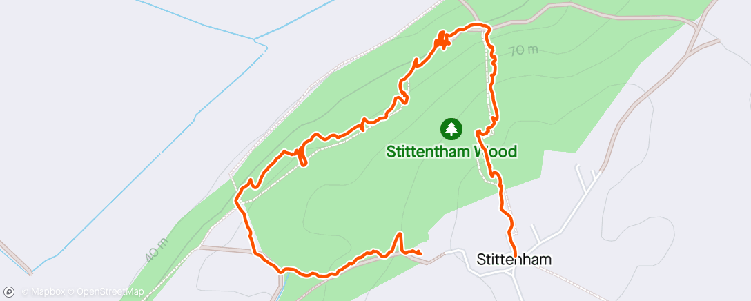 Mapa da atividade, Walking around the bluebell woods