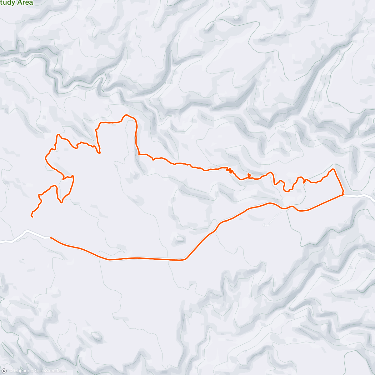 Map of the activity, Falcon flow