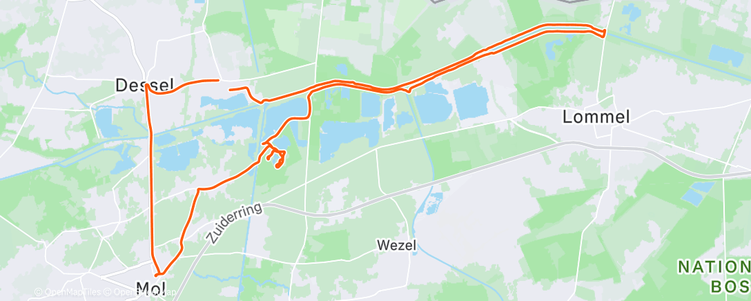 Карта физической активности (Pedalata mattutina)