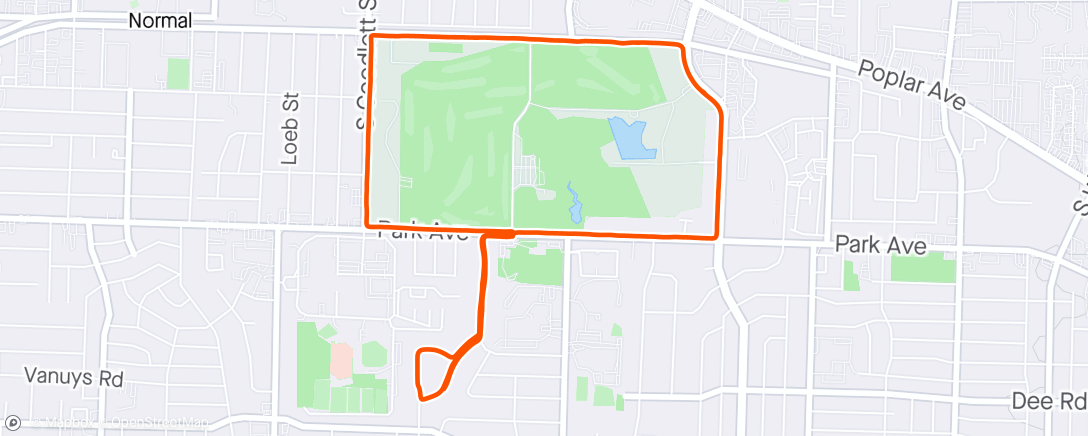 Карта физической активности (Morning Walk)