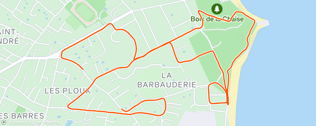 Карта физической активности (HNY 2026 🥷)