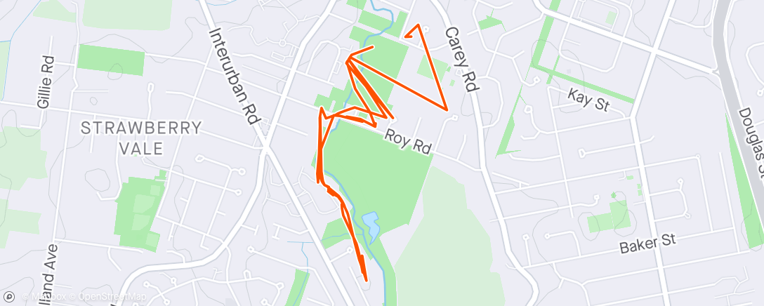 Map of the activity, 1st week, 1st run