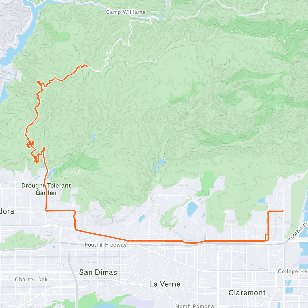 Map of the activity, Morning Ride