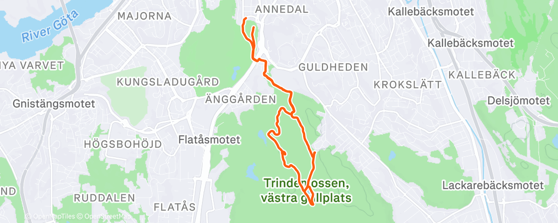 Map of the activity, Morning Run