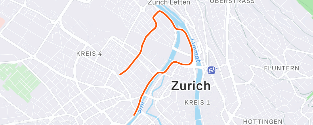 Map of the activity, Stepped in the only dog poo in all of Switzerland