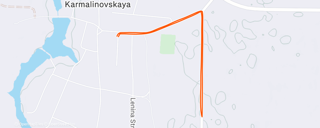 Карта физической активности (Дневной забег)