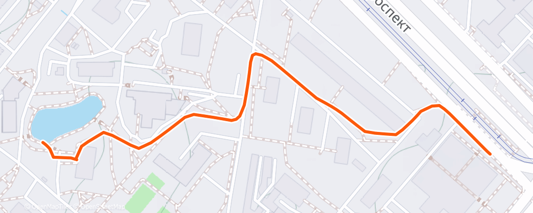 Карта физической активности (Вечерняя прогулка)