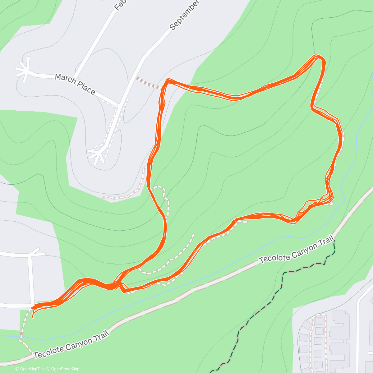 Карта физической активности (Gardena loops)