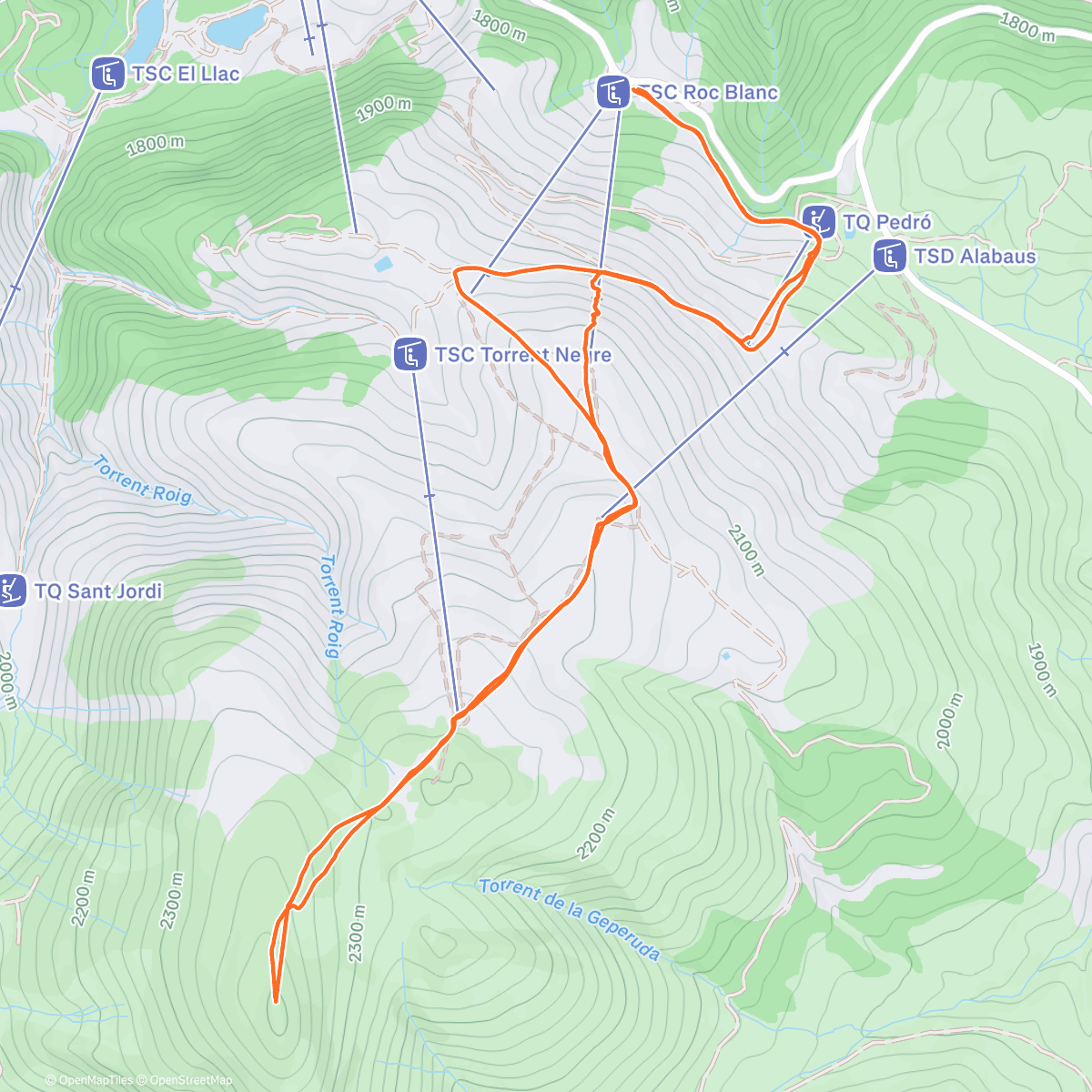 Map of the activity, Puigllançada