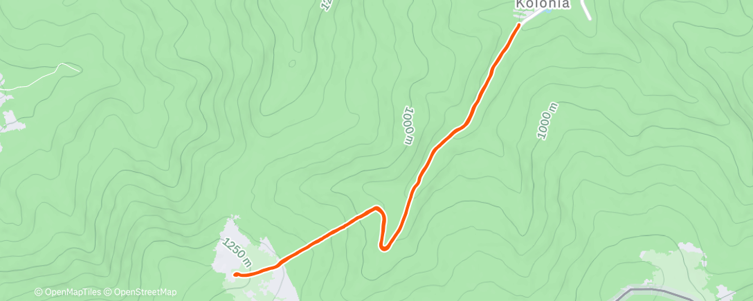 Карта физической активности (Afternoon Hike)