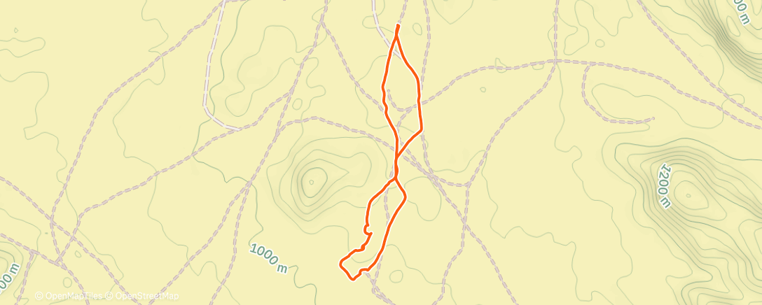 Map of the activity, Morning Run