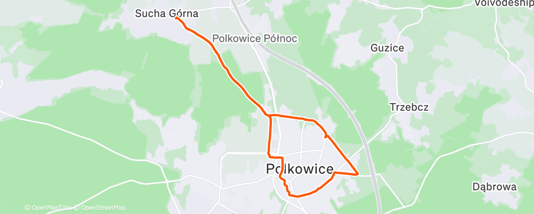 Map of the activity, Afternoon Run