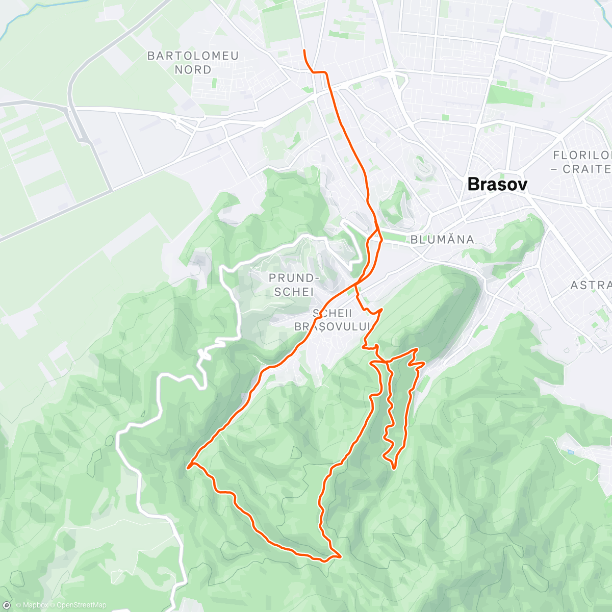 Map of the activity, Morning Ride
