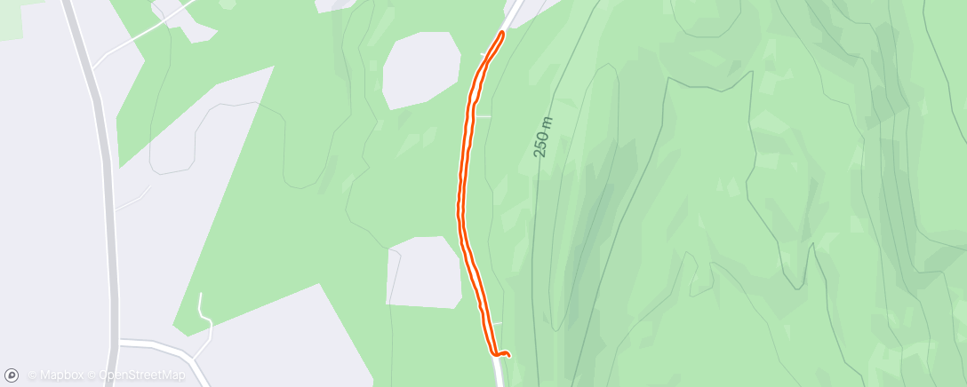 Map of the activity, Morning Run