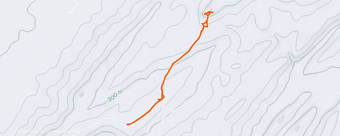 Map of the activity, Morning Hike
