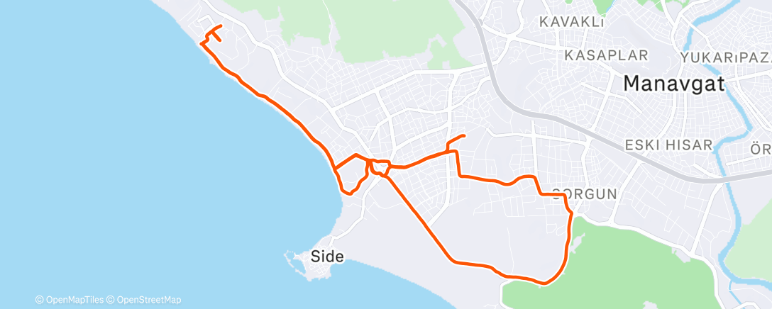 Карта физической активности (Morning Run with Norman)