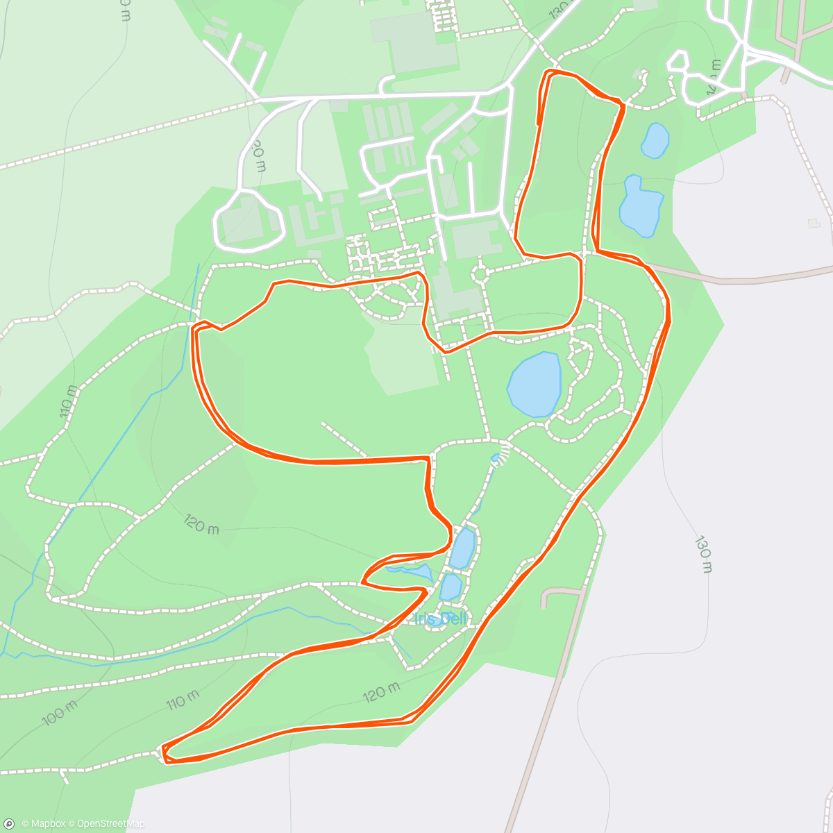Mapa da atividade, Wakehurst parkrun