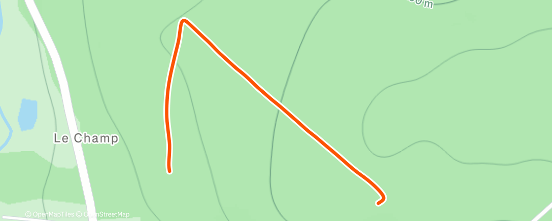 Map of the activity, Marche dans l'après-midi
