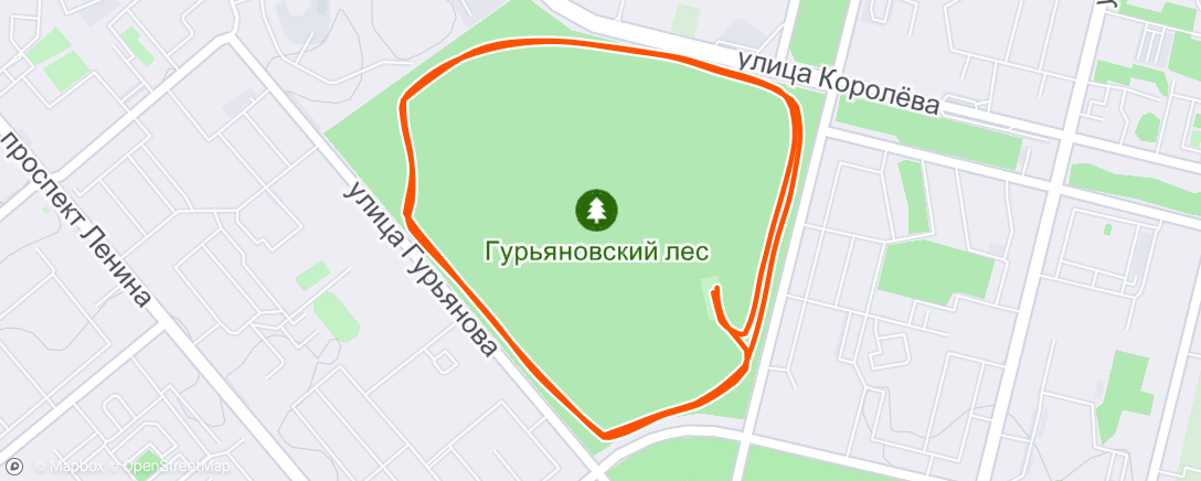 Map of the activity, Morning Run