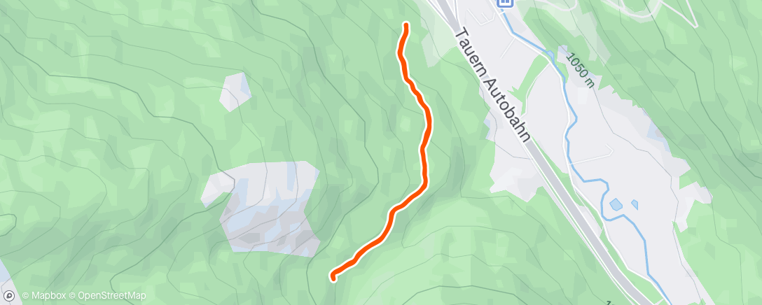 Map of the activity, Afternoon Run