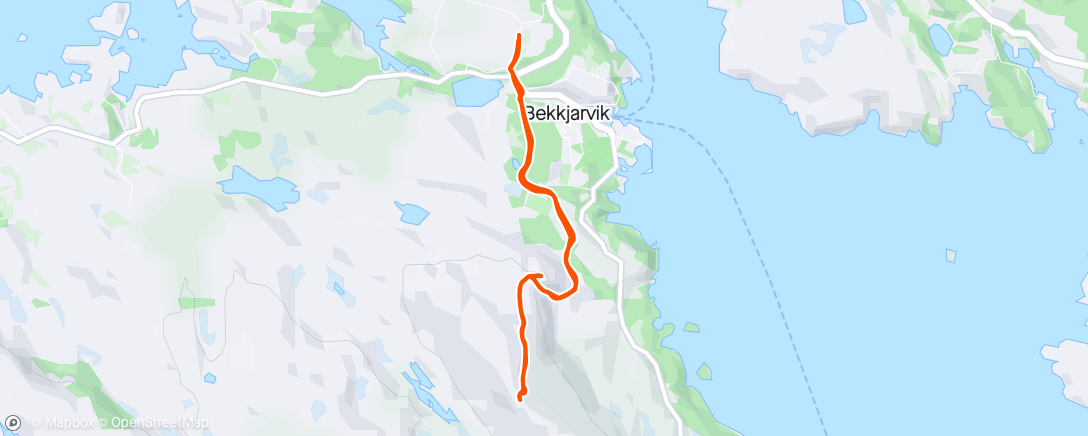Map of the activity, Kongsen