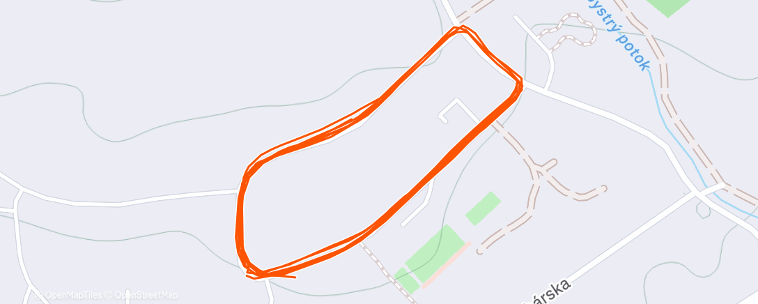 Карта физической активности (Evening Run)