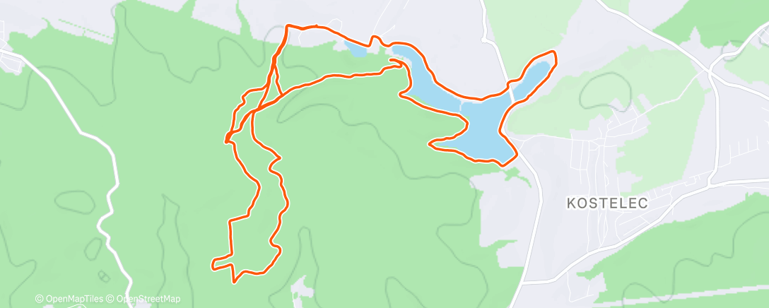 Карта физической активности (Morning Run)