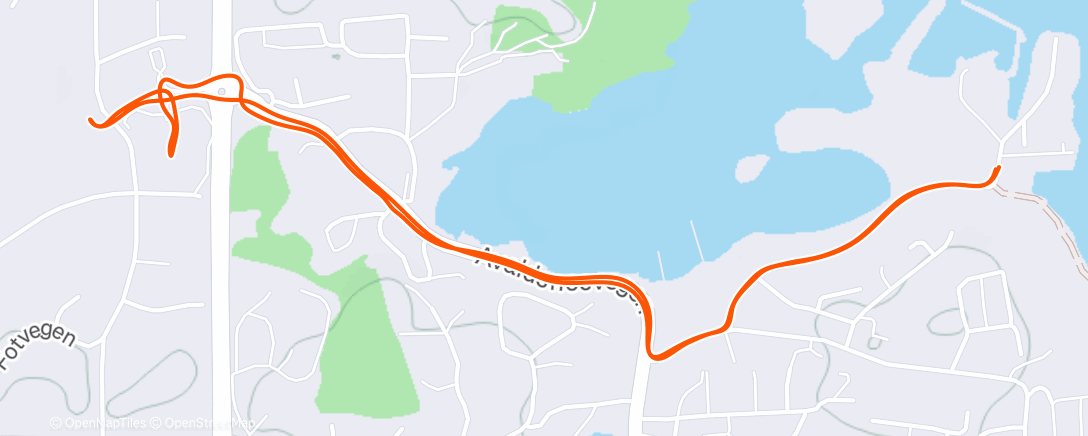 Map of the activity, Shopping