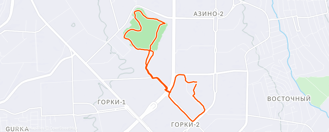 Map of the activity, Evening Run