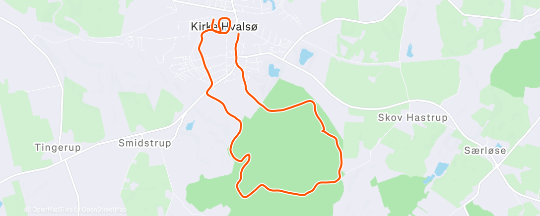 Map of the activity, Morning Run