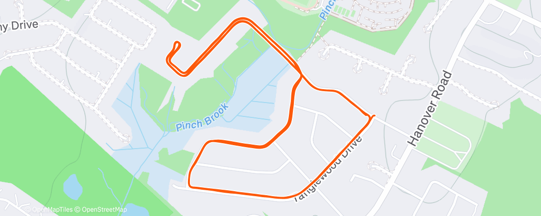 Map of the activity, Afternoon Run