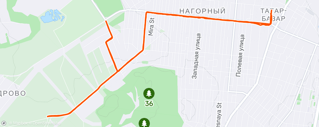 Map of the activity, Afternoon Run