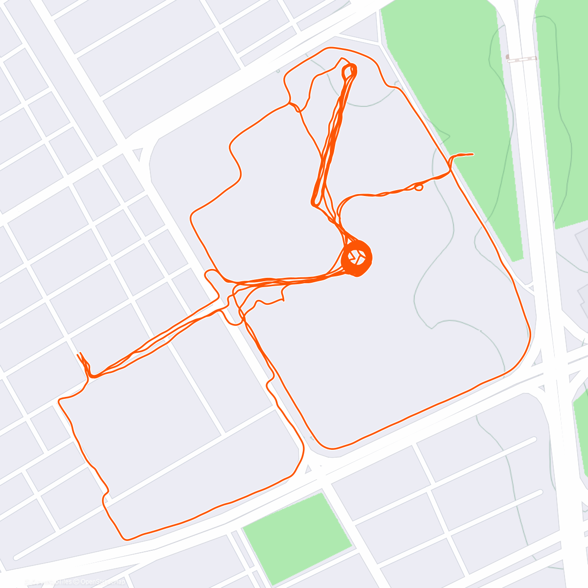 Карта физической активности (1351 + Ela + Benign paroxysmal positional vertig + 2StepN)