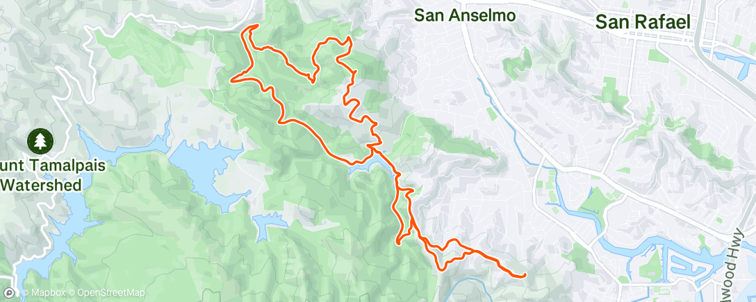 Map of the activity, Morning Run