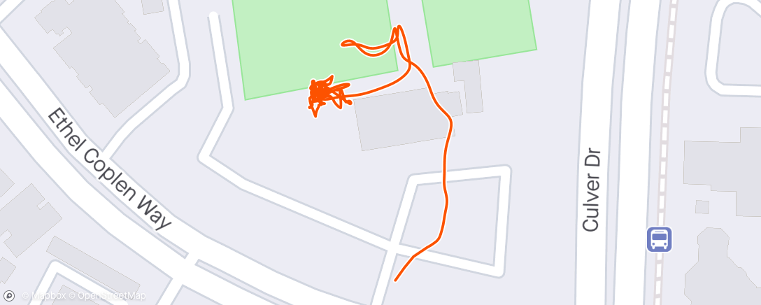 Карта физической активности (⛅ Pickleball with my wife. Legs feeling well 4 days post marathon.)