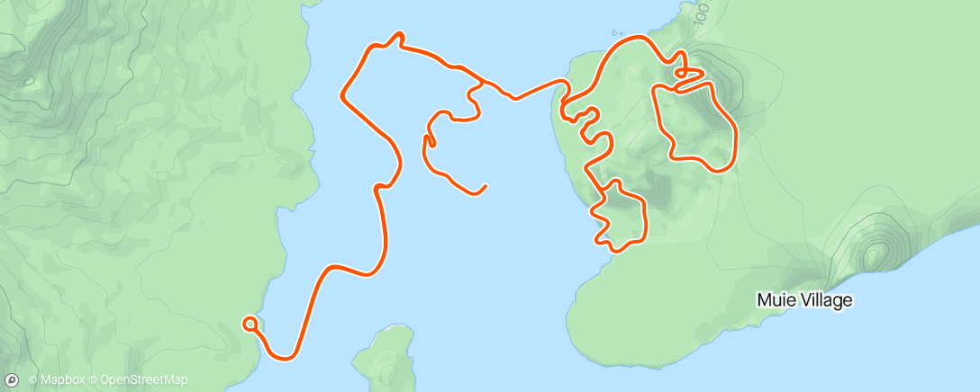Карта физической активности (Zwift - Climb Portal: Col du Rosier at 100% Elevation in Watopia)