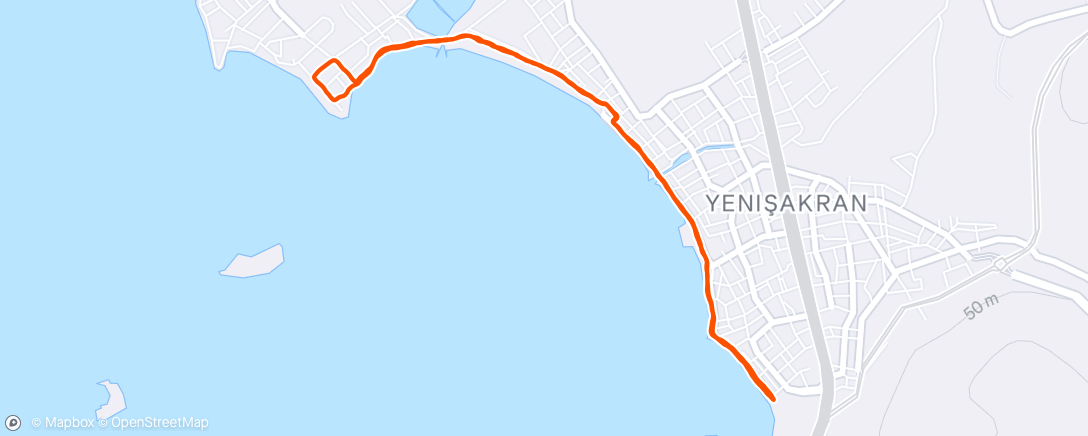 Карта физической активности (Lunch Run)