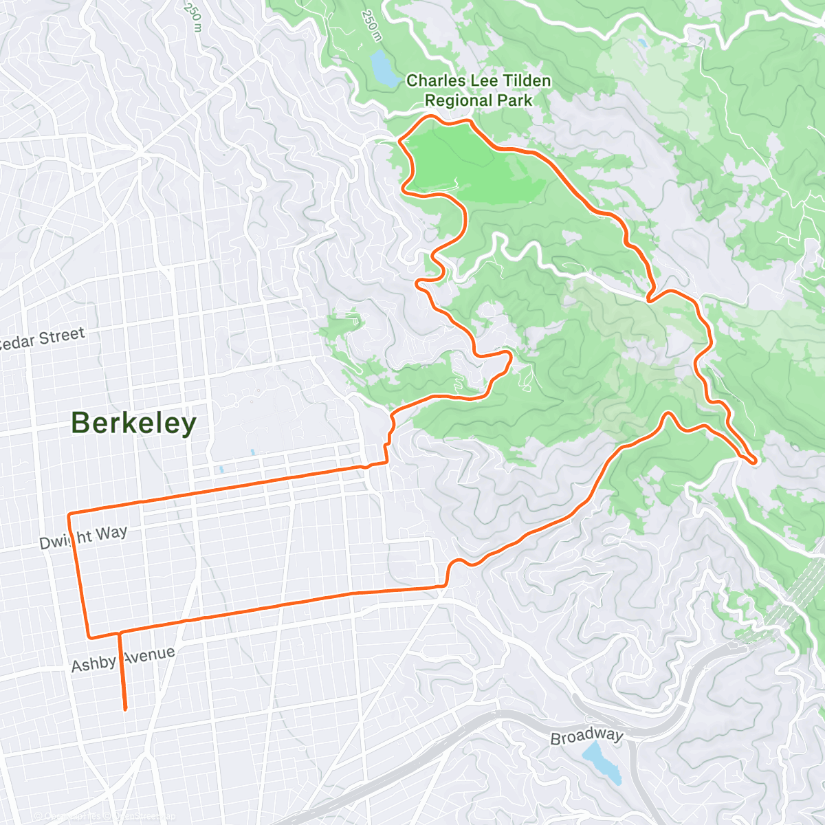 Карта физической активности (Photovoltaic Good 2025)