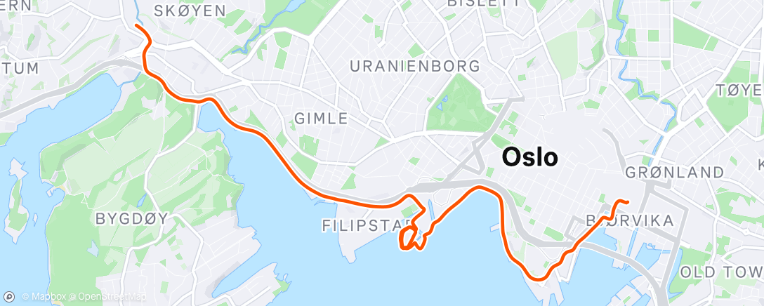 Map of the activity, Morning Run